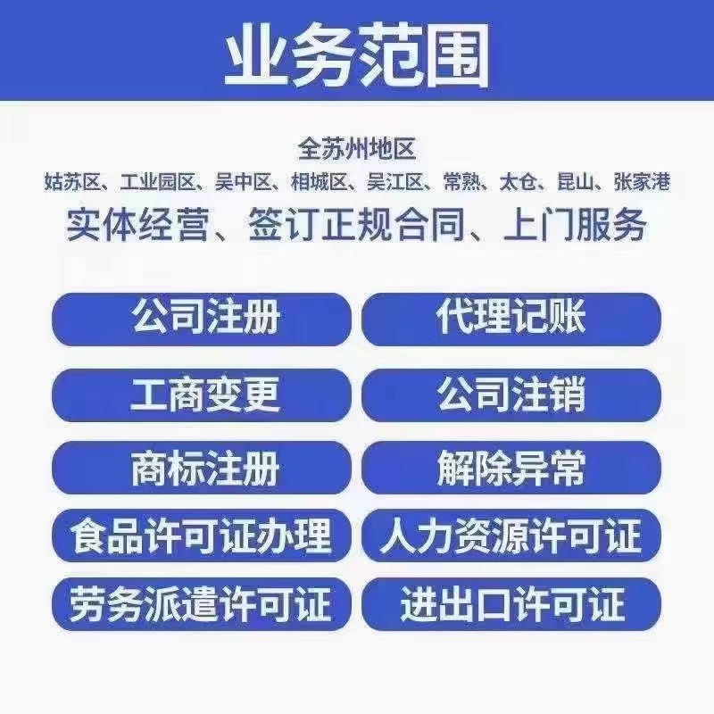 陇南财税公司的业务范围有哪些？